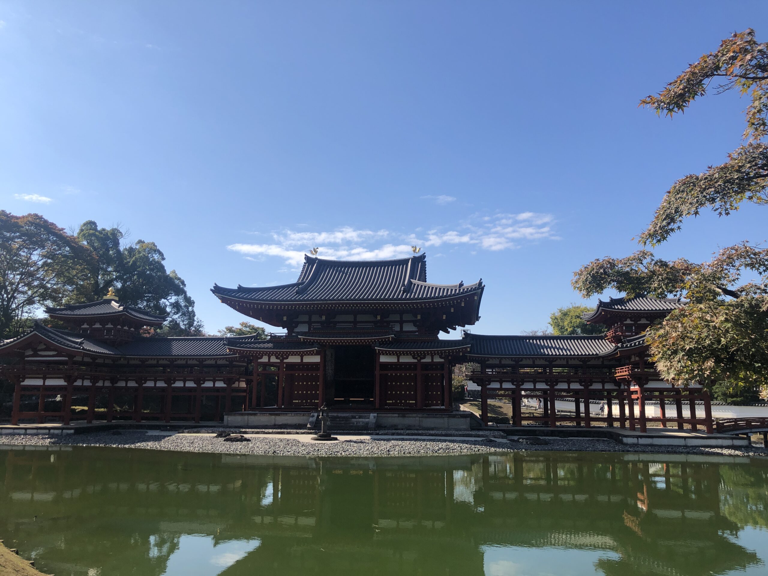 お休み学園の修学旅行✨