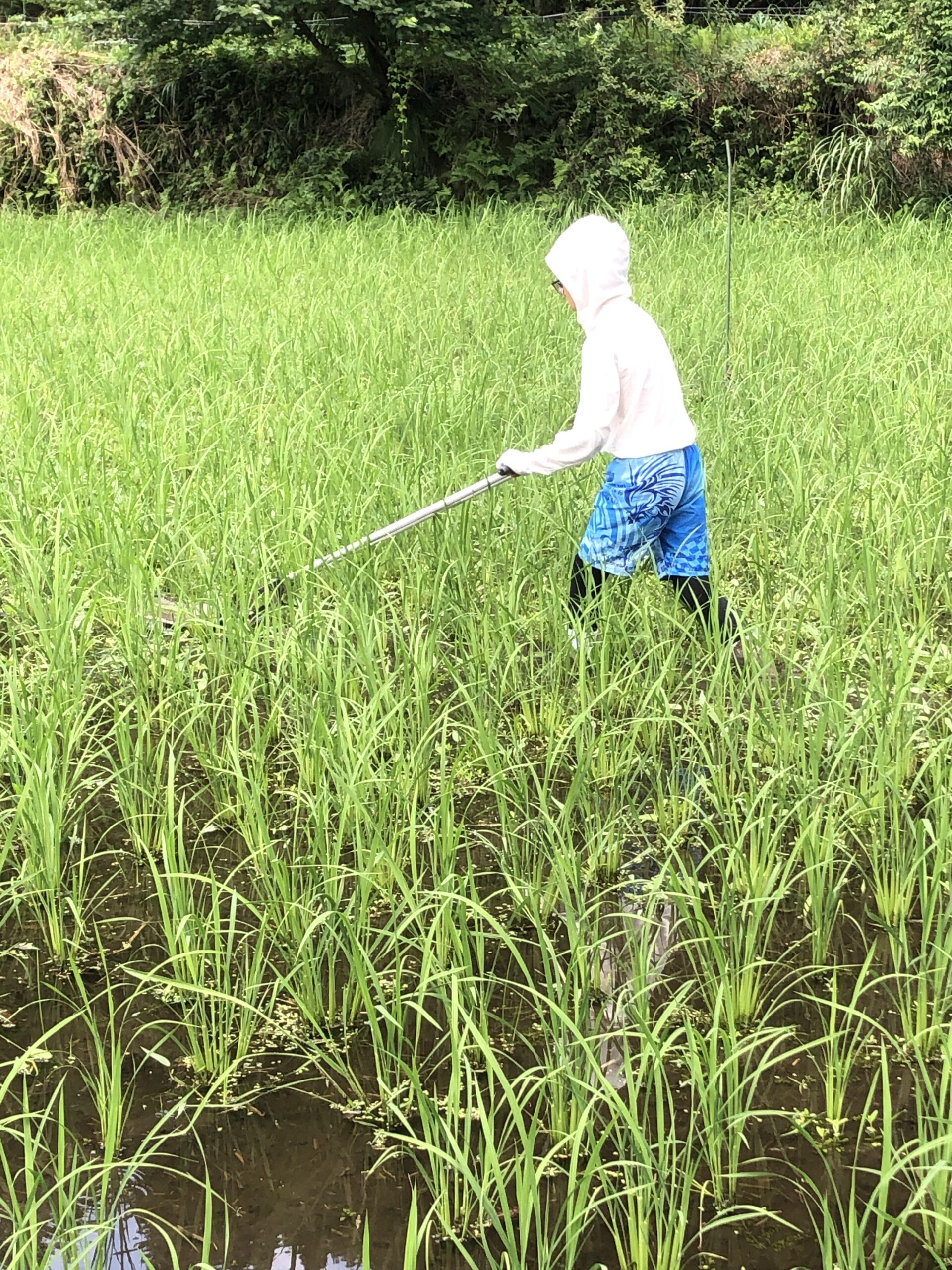 「何をしてもいい」ということ
