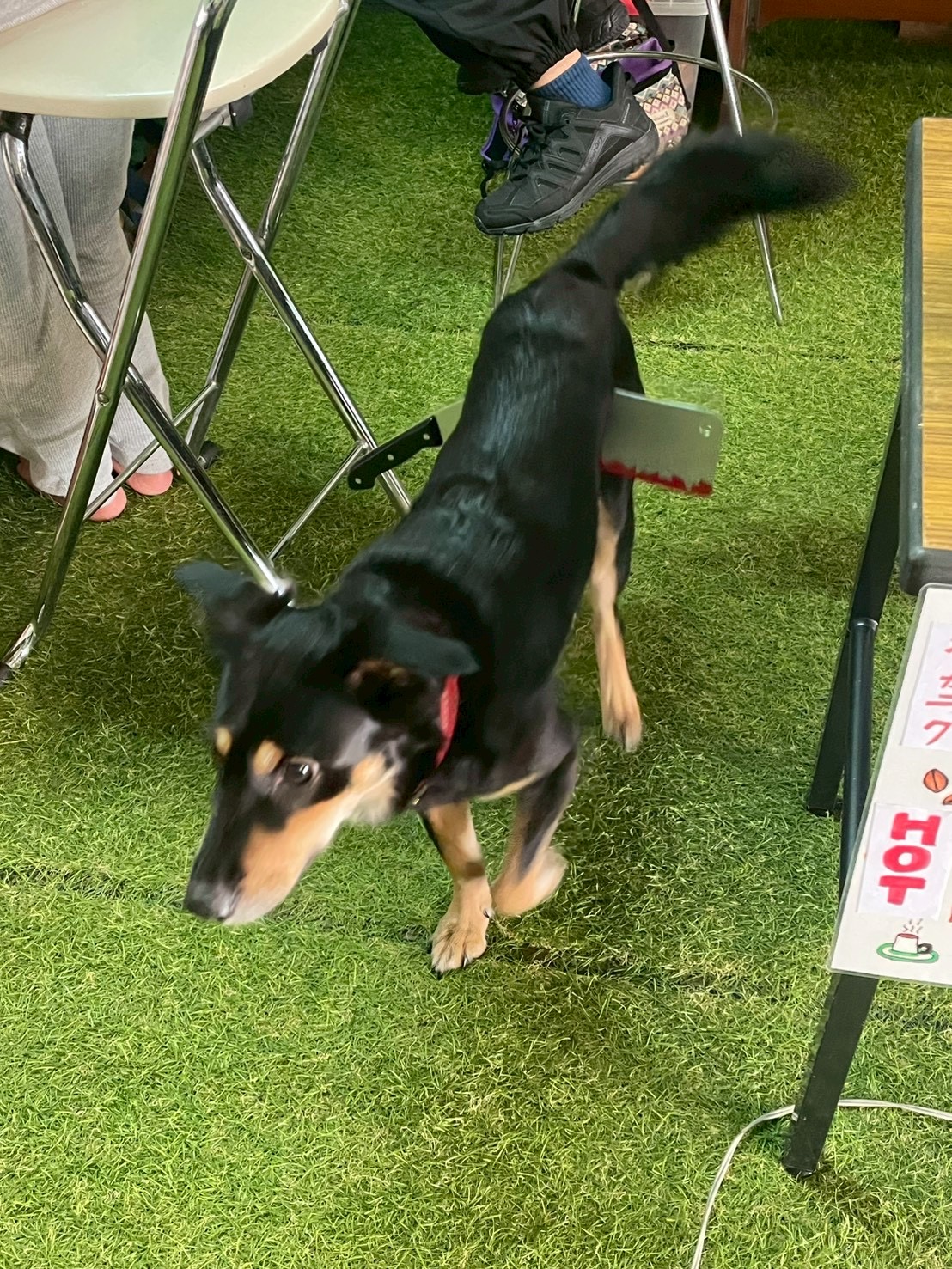 2025年妖怪cafeが無事終了！！