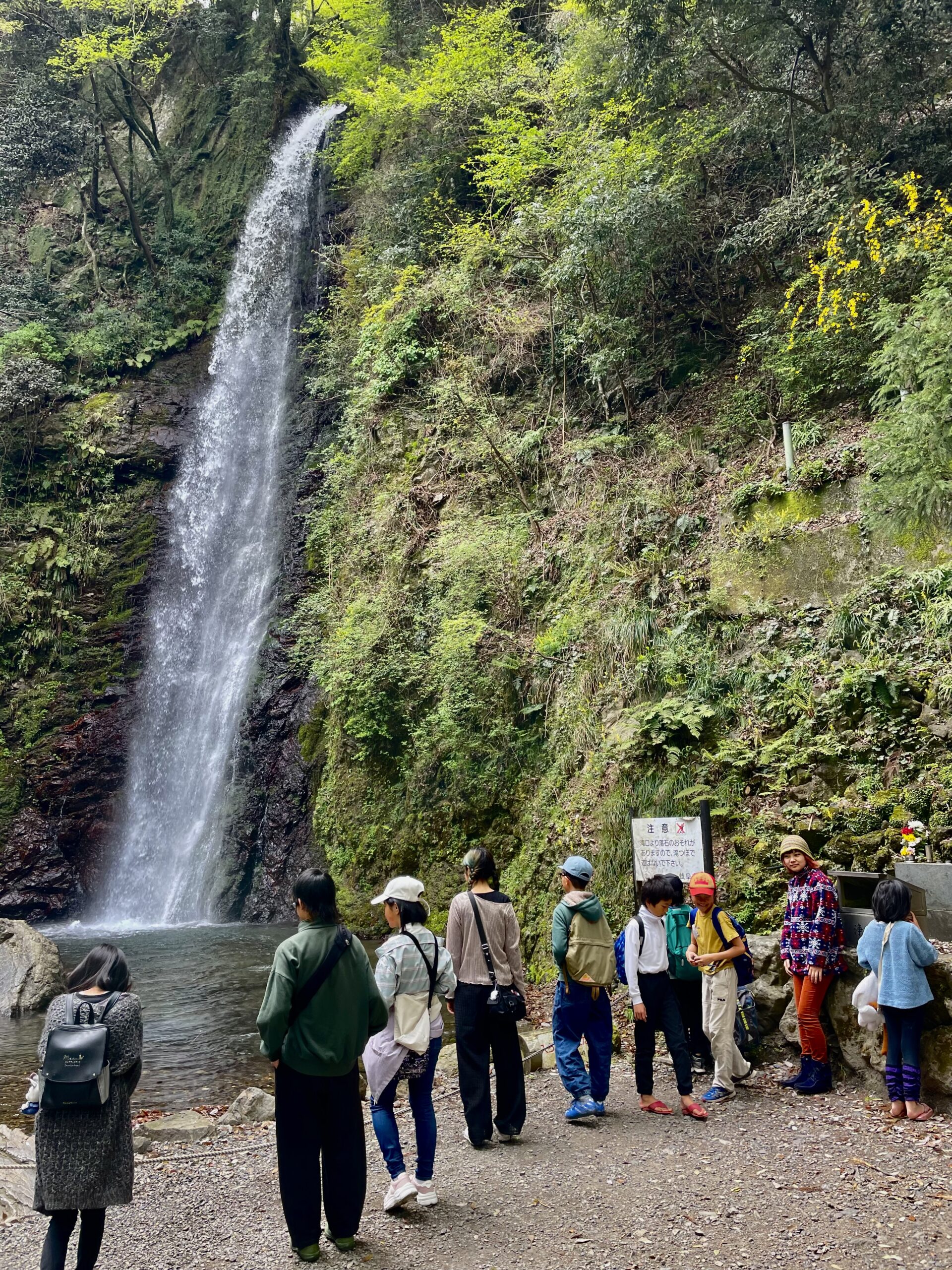2026年度も始まりました！